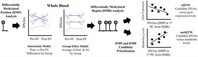 Longitudinal changes in DNA methylation during the onset of islet autoimmunity differentiate between reversion versus progression of islet autoimmunity